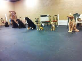 Dog obedience schools near me. Things To Know About Dog obedience schools near me. 
